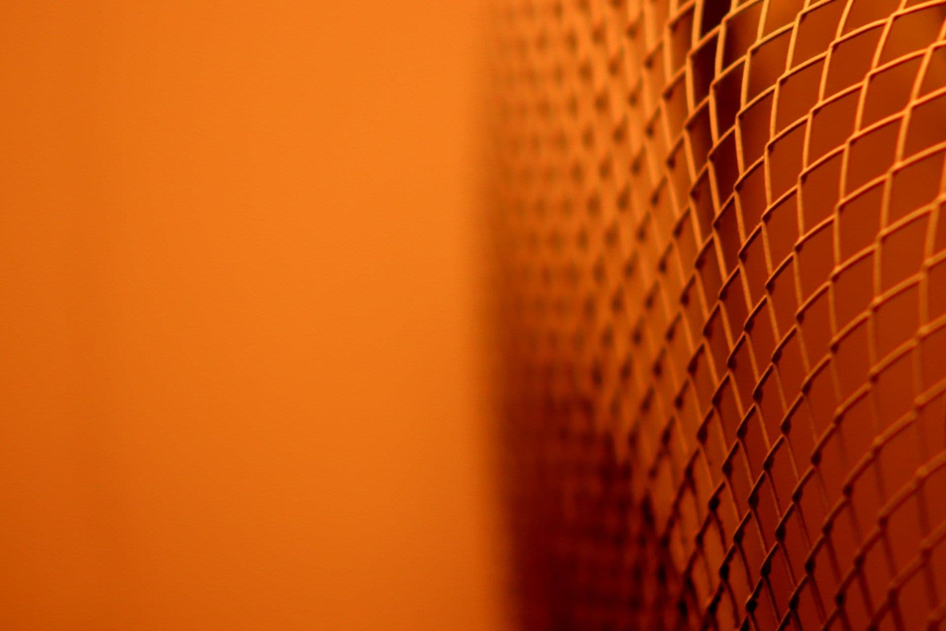 Join 35+ Businesses That Scaled Their Global Empire With Echovyn Labs Experts